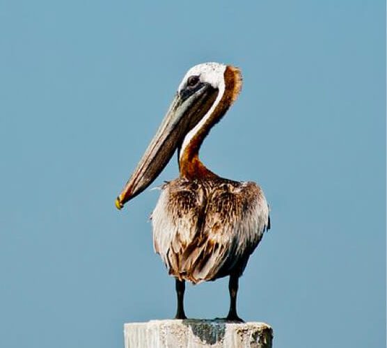 快速检测安全的不停给对方打电话的软件